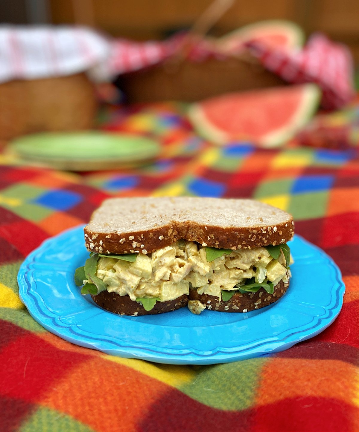 Curried chicken salad sandwich on a plate. Picnic blanket and picnic in the background.