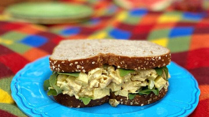 Curried chicken salad sandwich on a plate, on a picnic blanket.