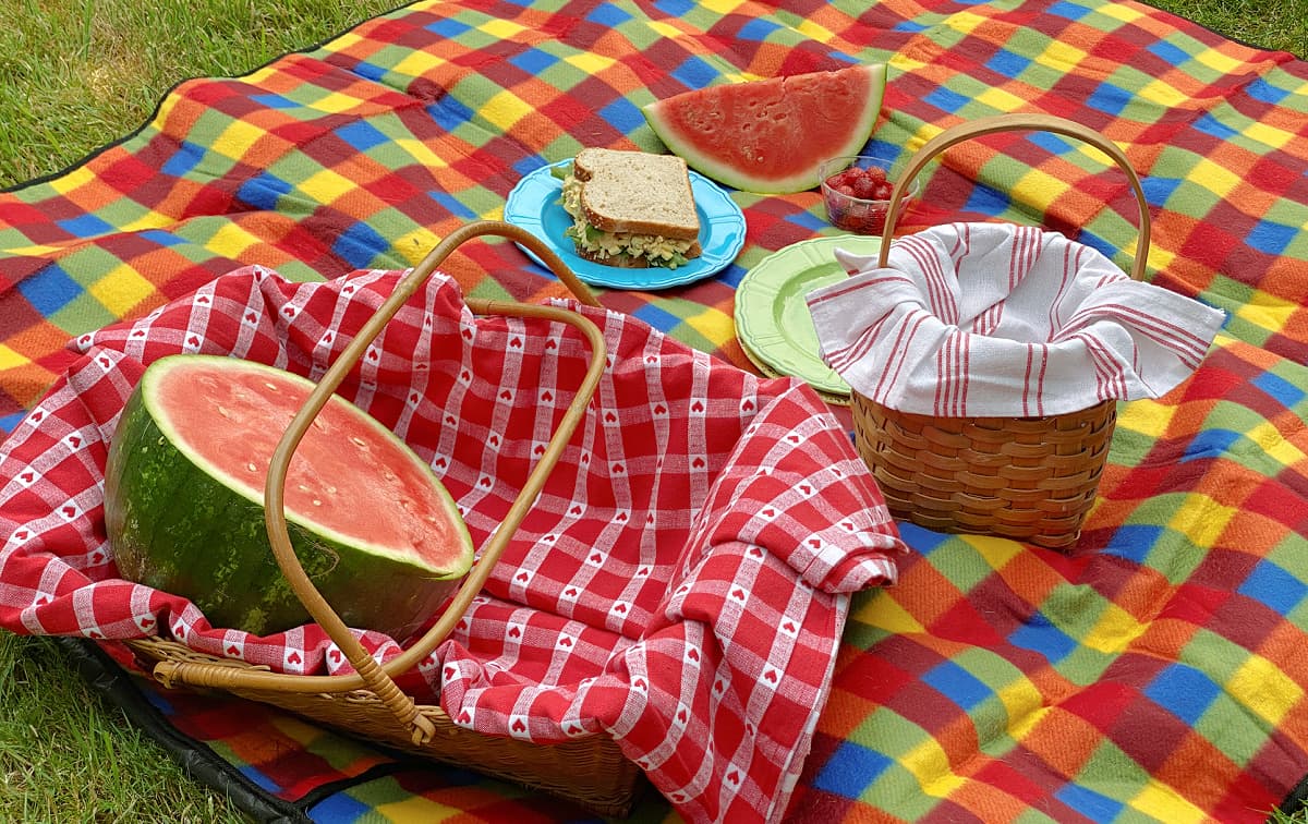 Picnic basket on a checked blanket, with watermelon, chicken sandwich, and strawberries.