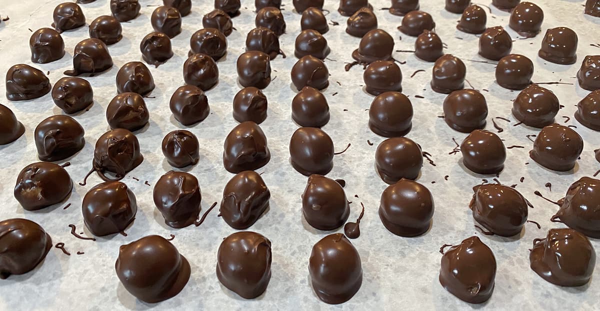 Dipped chocolates lined up on a parchment-covered tray.