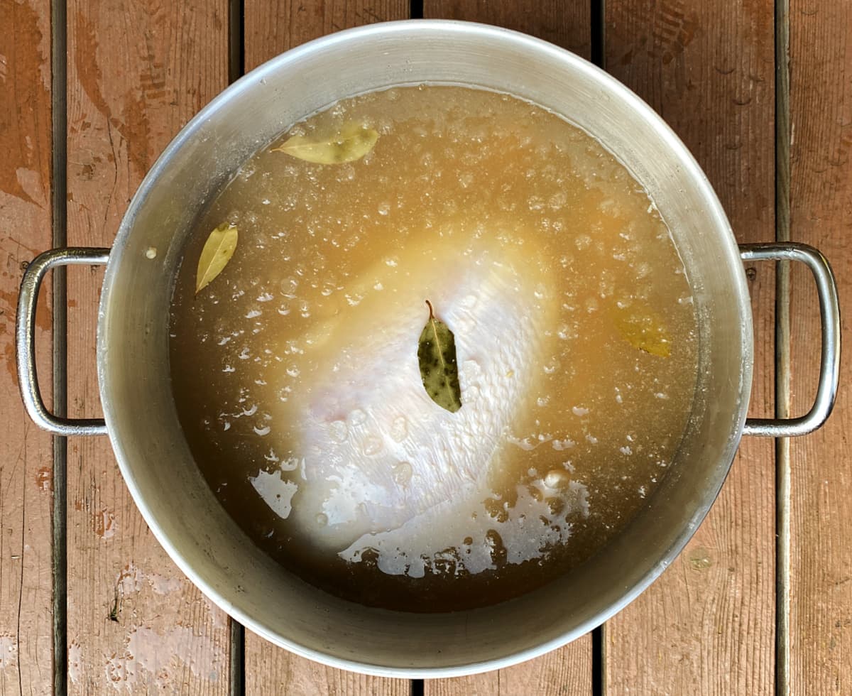 Turkey in large stockpot, covered with brine. A single sage leaf floats on top. 