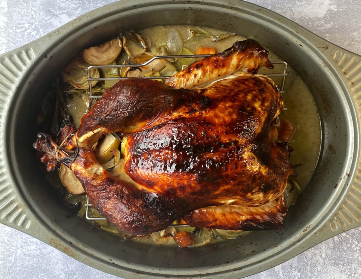Fully roasted turkey resting in a roasting pan.