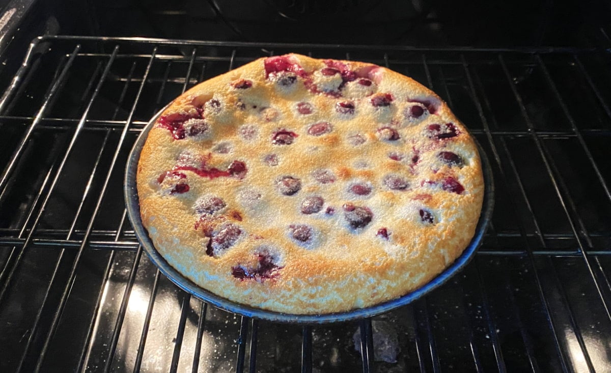 Cherry clafoutis immediately after baking, before it naturally falls.
