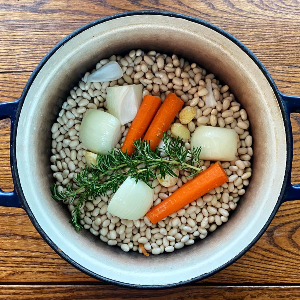 Dry navy beans and aromatics (rosemary, onions, carrots, and garlic) in a cast iron Dutch oven.